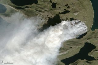 Smoke plumes from Greenland's largest wildfire on record can be seen in this Landsat-8 satellite image from Aug. 3, 2017.