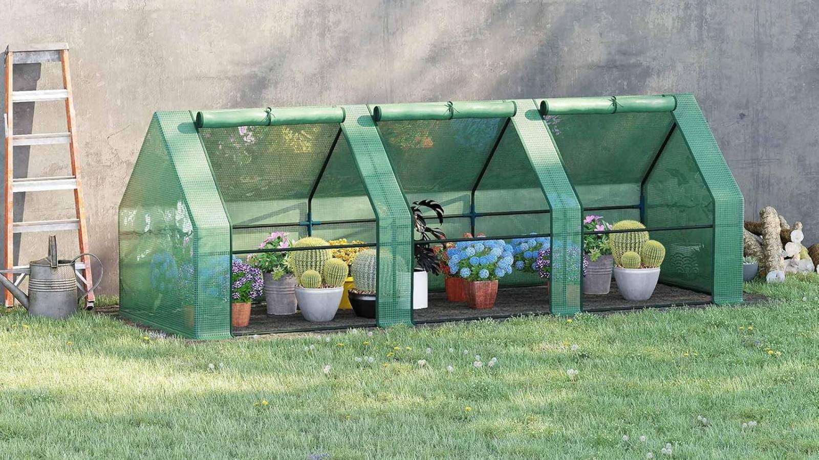 An Outsunny greenhouse with rolled up walls and plants inside