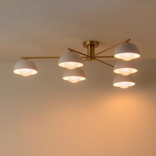 ceiling light with brass mount, arms and 6 white shades