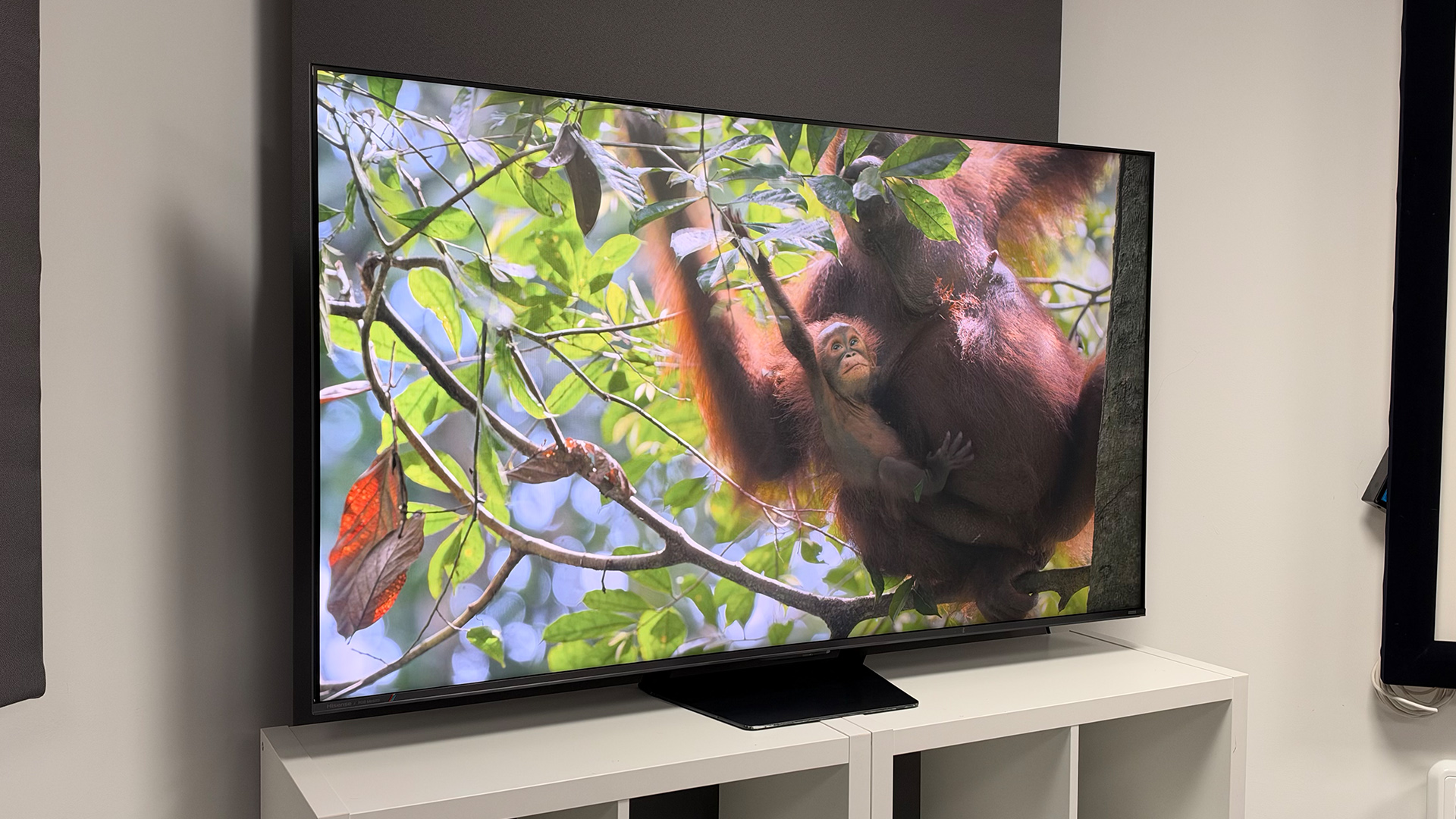 Hisense UR8 RGB Mini LED TV
