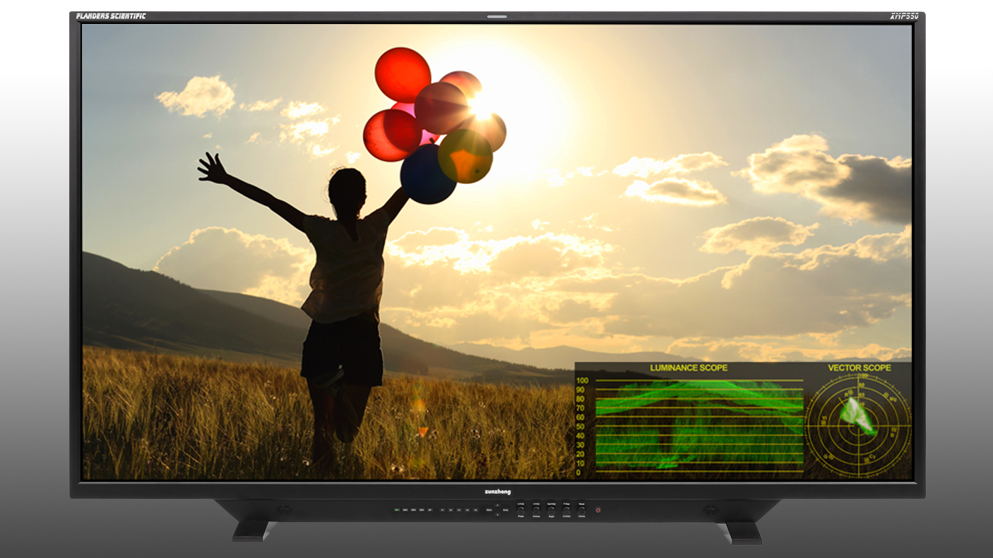 Flanders Scientific displays