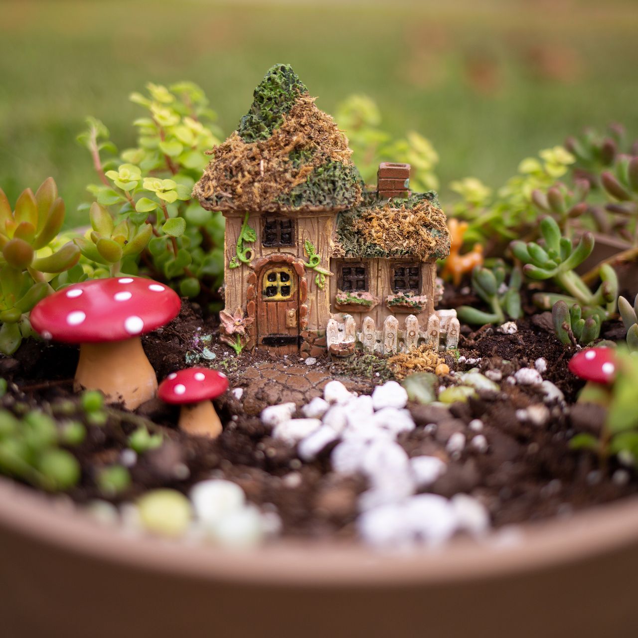 Miniature Fairy Garden in container with fairy house and toadstools