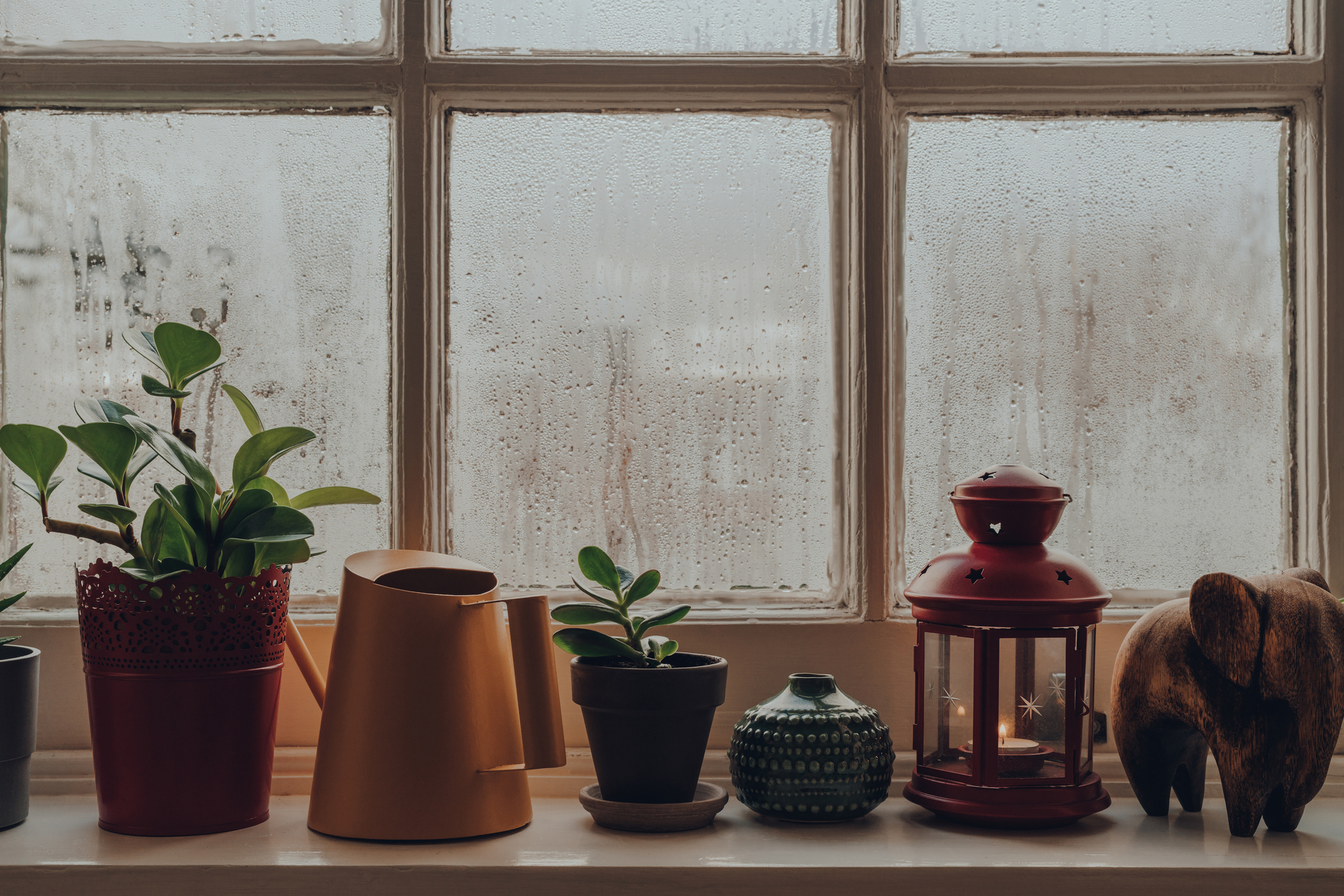 Is Condensation on Windows Bad, Causes & How to Stop It - Ecohome