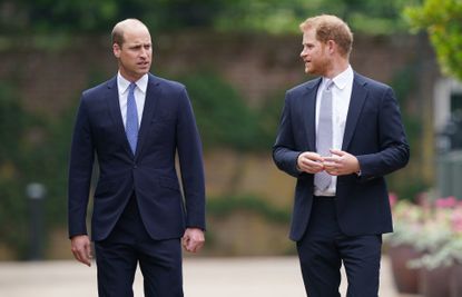 Prince William, Duke of Cambridge (left) and Prince Harry, Duke of Sussex arrive for the unveiling of a statue they commissioned of their mother Diana, Princess of Wales
