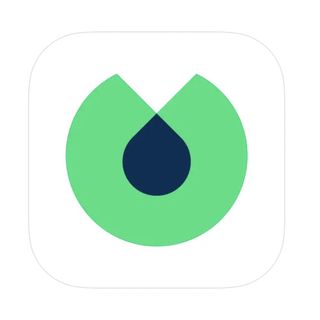 The Blinkist app logo from the Apple app store