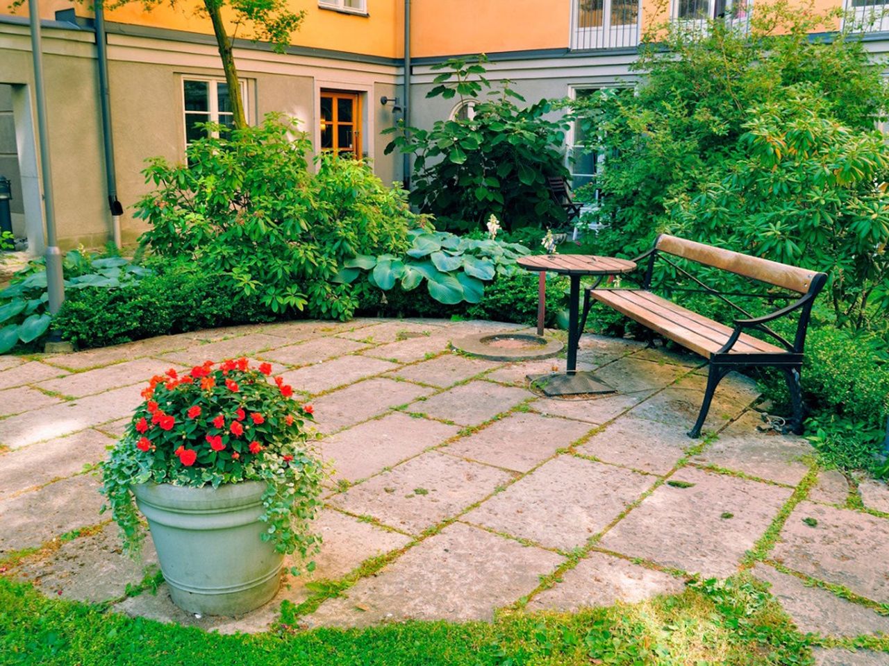 Patio Space With Plants Flowers And A Bench