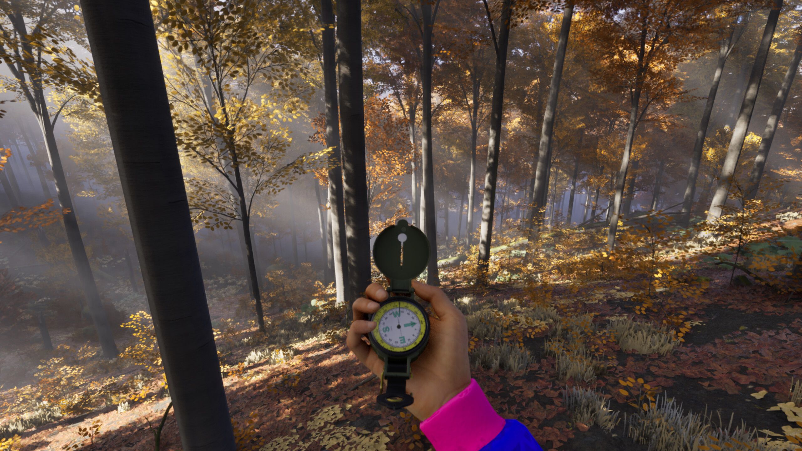 Brendan Greene's open-world survival roguelike hikes into early ...