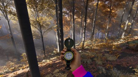 A hand holding a compass in the woods