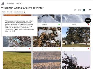 Siftr screenshot "Wisconsin animals active in winter"
