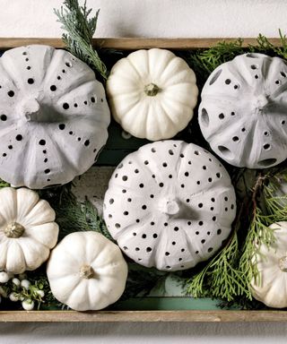 Holiday decoration with white decorative pumpkins. craft clay pumpkins. thuja branches. berries in old wooden tray