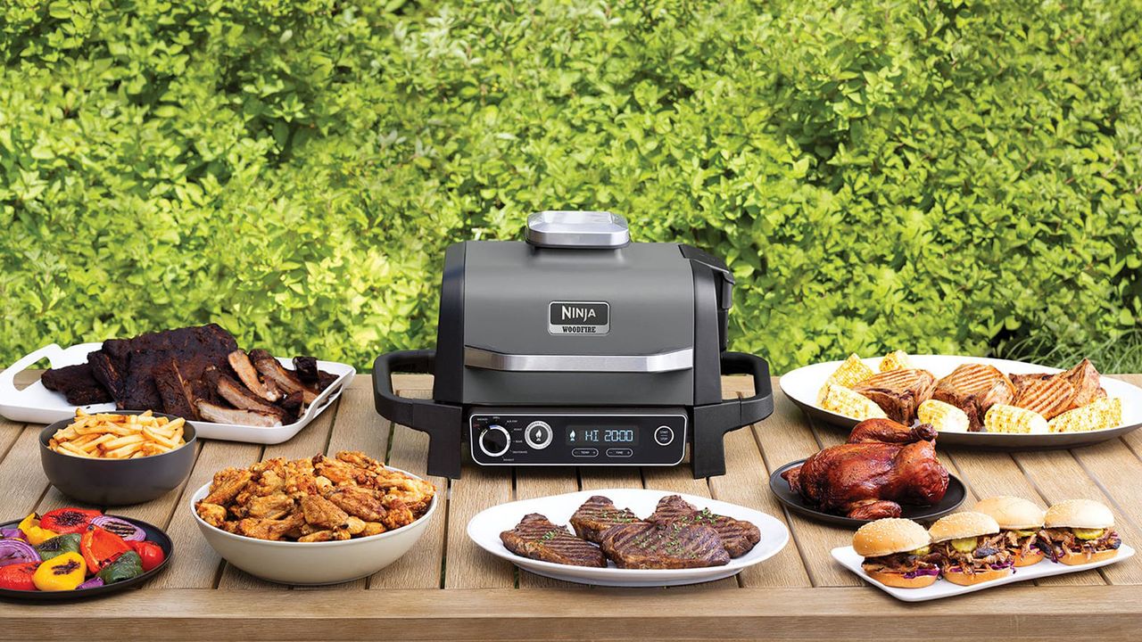 Ninja Woodfire Outdoor Air Fryer and BBQ