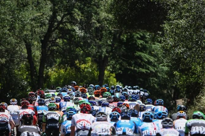 Riders crest one of todays climbs