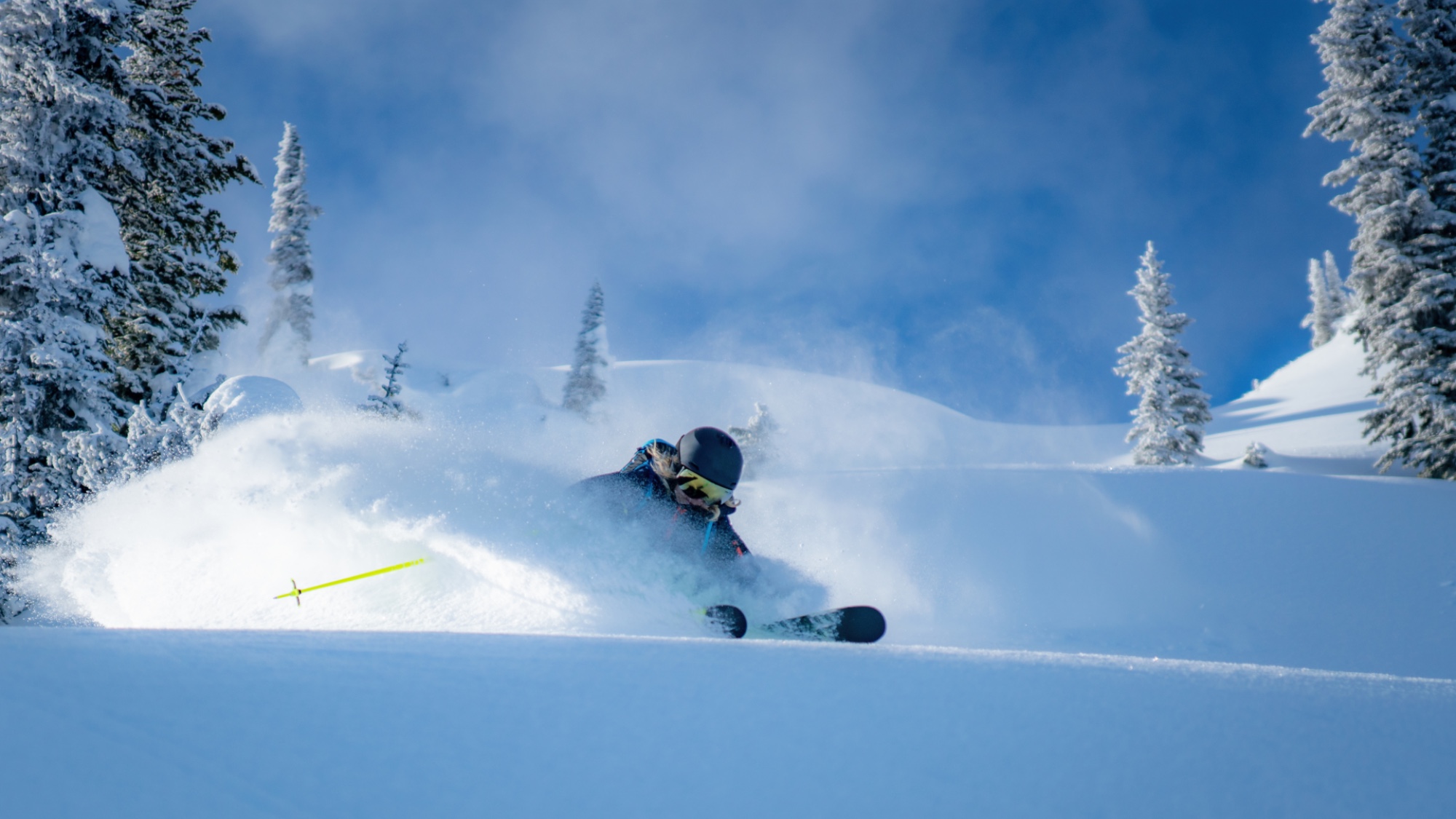 Woman skiing downhill in deep powder with pine trees in British Columbia, Canada