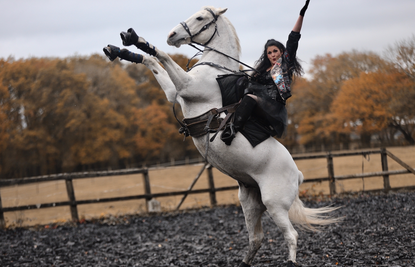 Nicky de Neumann training a horse for the Cinderella Horseback Pantomime