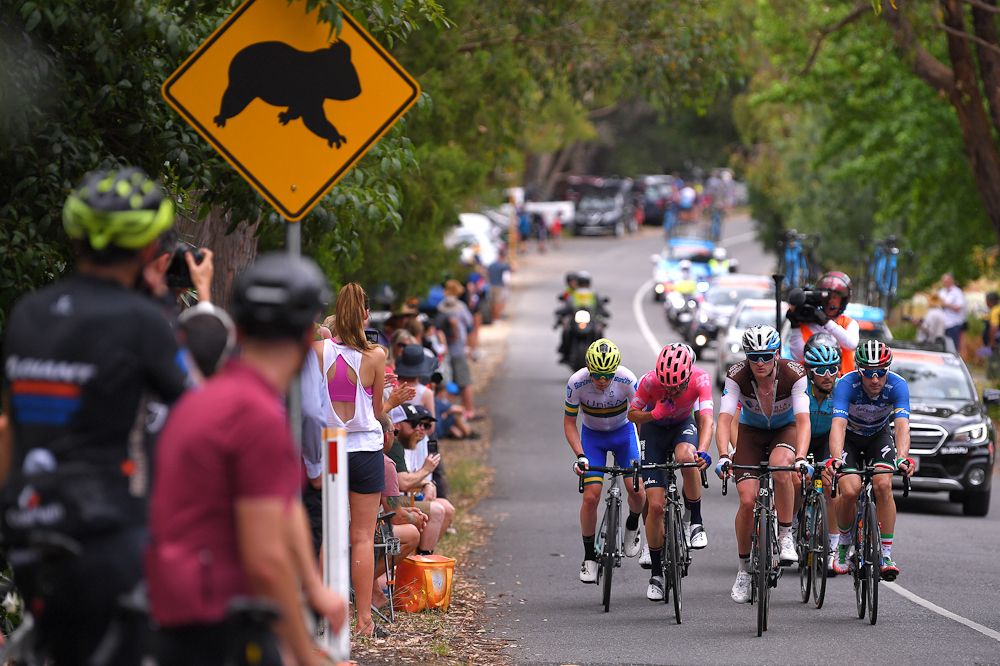 A sing warning the break to watch out for koalas at the Tour Down Under