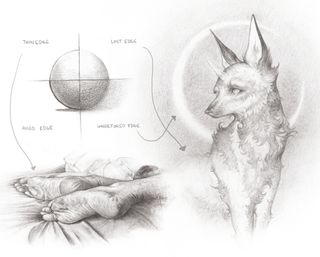 Sketching tips: sketches of a ball, feet and a wolf demonstrating how to control your edges.