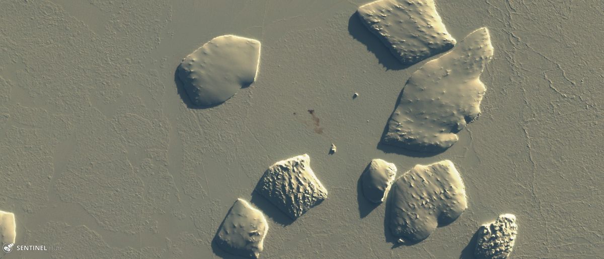 Poop stains visible from space reveal hidden colonies of Antarctic