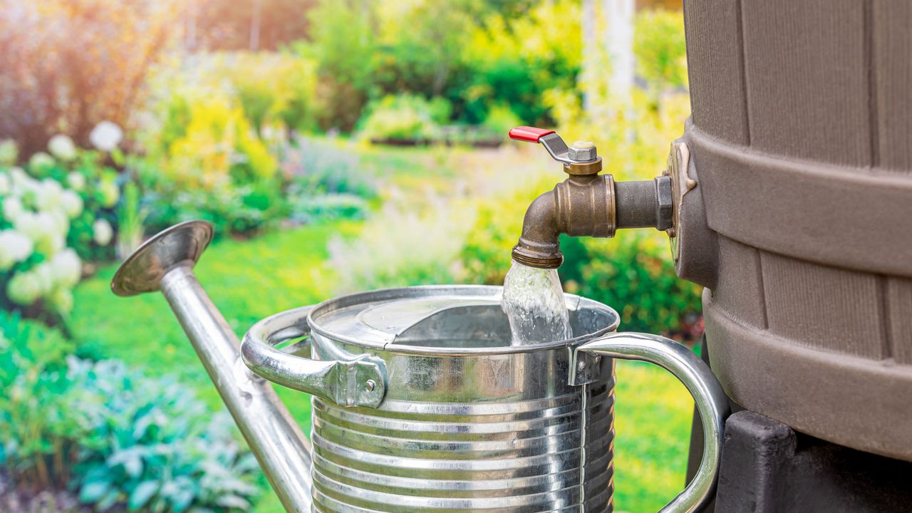 watering can being filled using a water butt