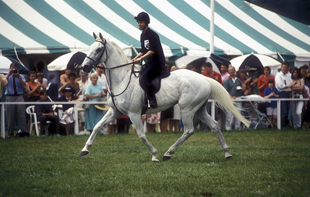 1992