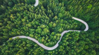 An aerial view of a forest