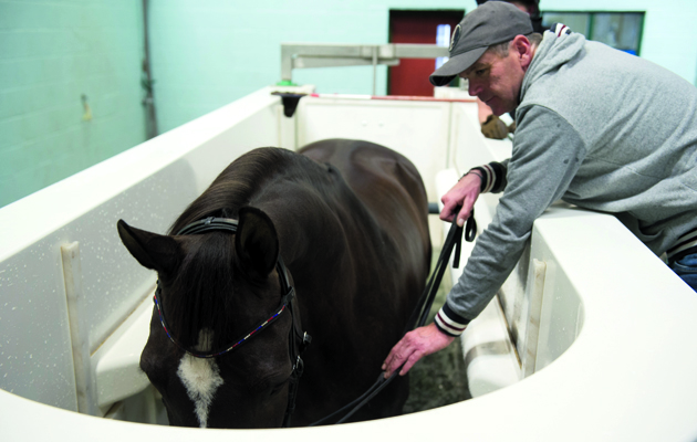 HARTPURY THERAPY CENTRE SHOOT