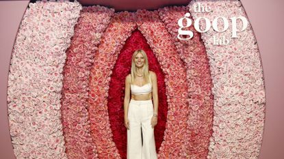 gwyneth paltrow goop 1201090012