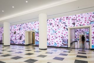 Video Wall at Terrell Place, Washington D.C.