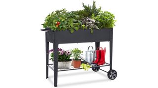 garden planter