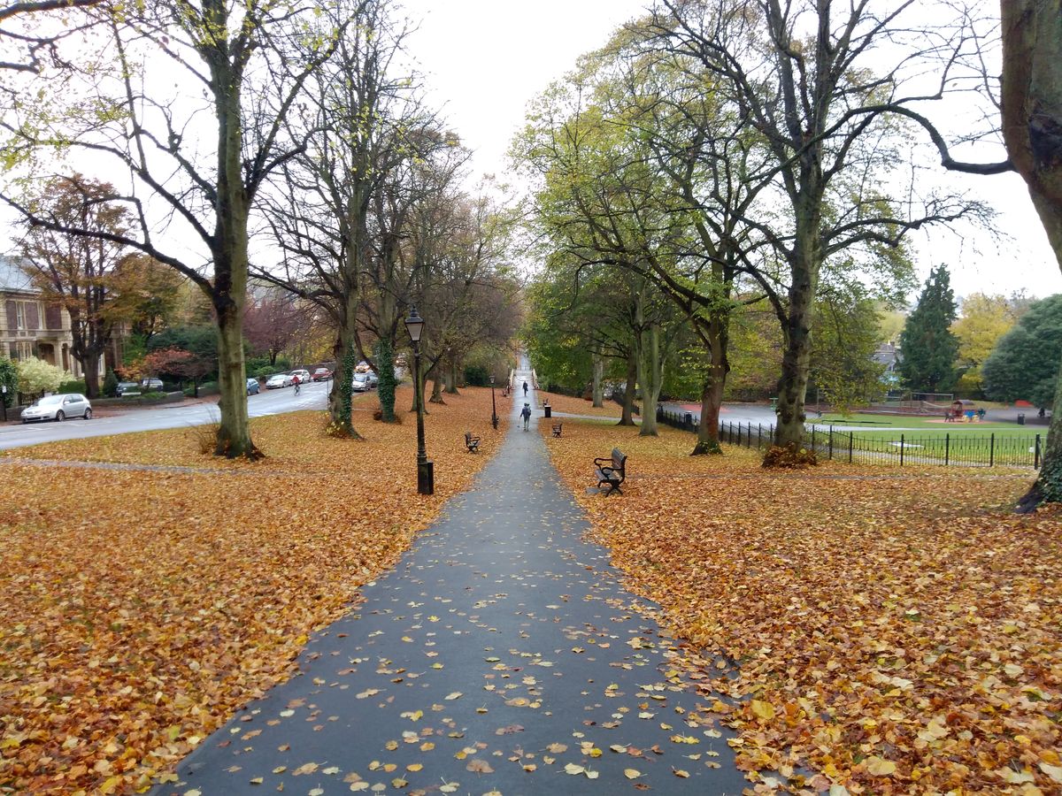 This scene&rsquo;s subtle blend of autumn colours was accurately captured - shame about the blown-out skies