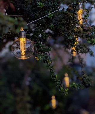 Solar Edison light bulbs in garden