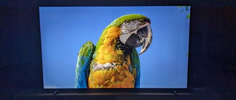TCL 98P745 with parrot on screen in dark room 