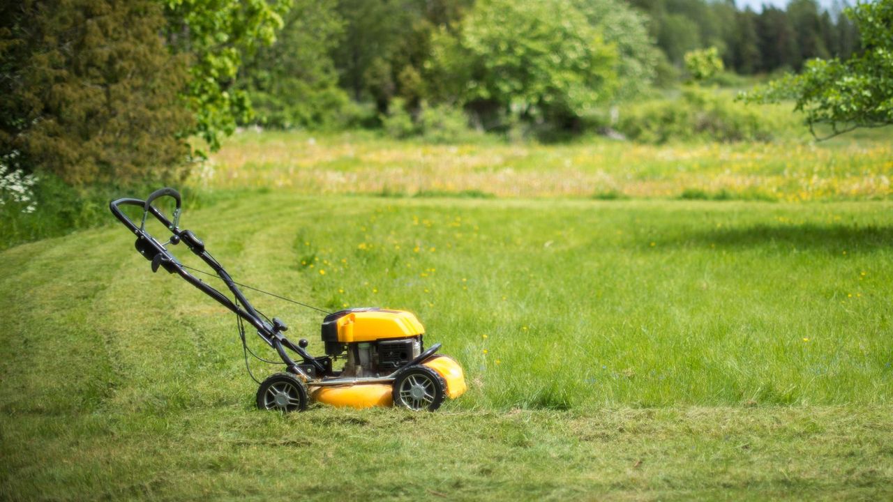 A gas lawn mower in a field