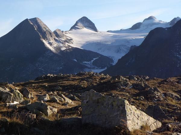 Glaciers in the Alps
