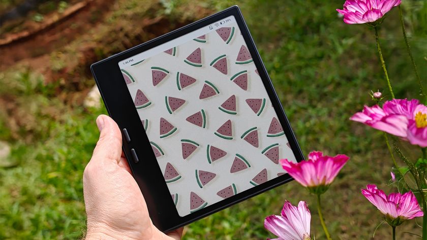 A colorful watermelon background on an Onyx Boox Go Color 7 Gen II with some pink Cosmos in the foreground