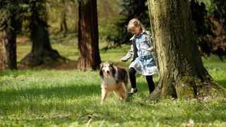 Collie with girl