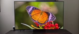 Samsung S95F hero image with butterfly on screen