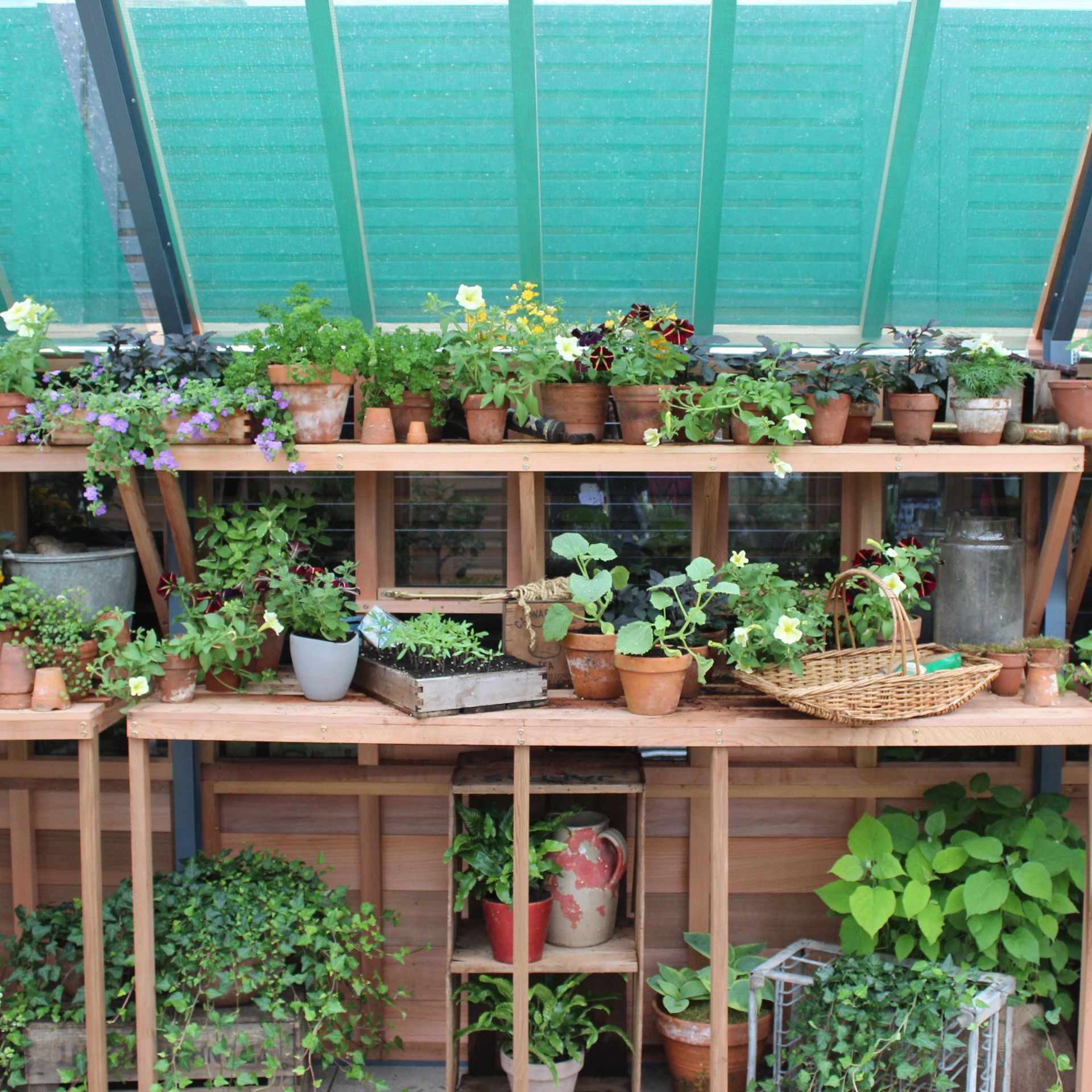 Serangkaian pot bunga dan sayuran di rumah kaca di RHS Chelsea Flower Show