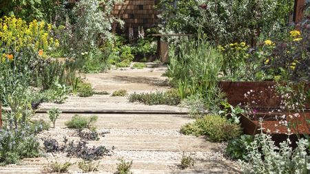A sunny gravel garden with stone pavers at the Chelsea Flower Show