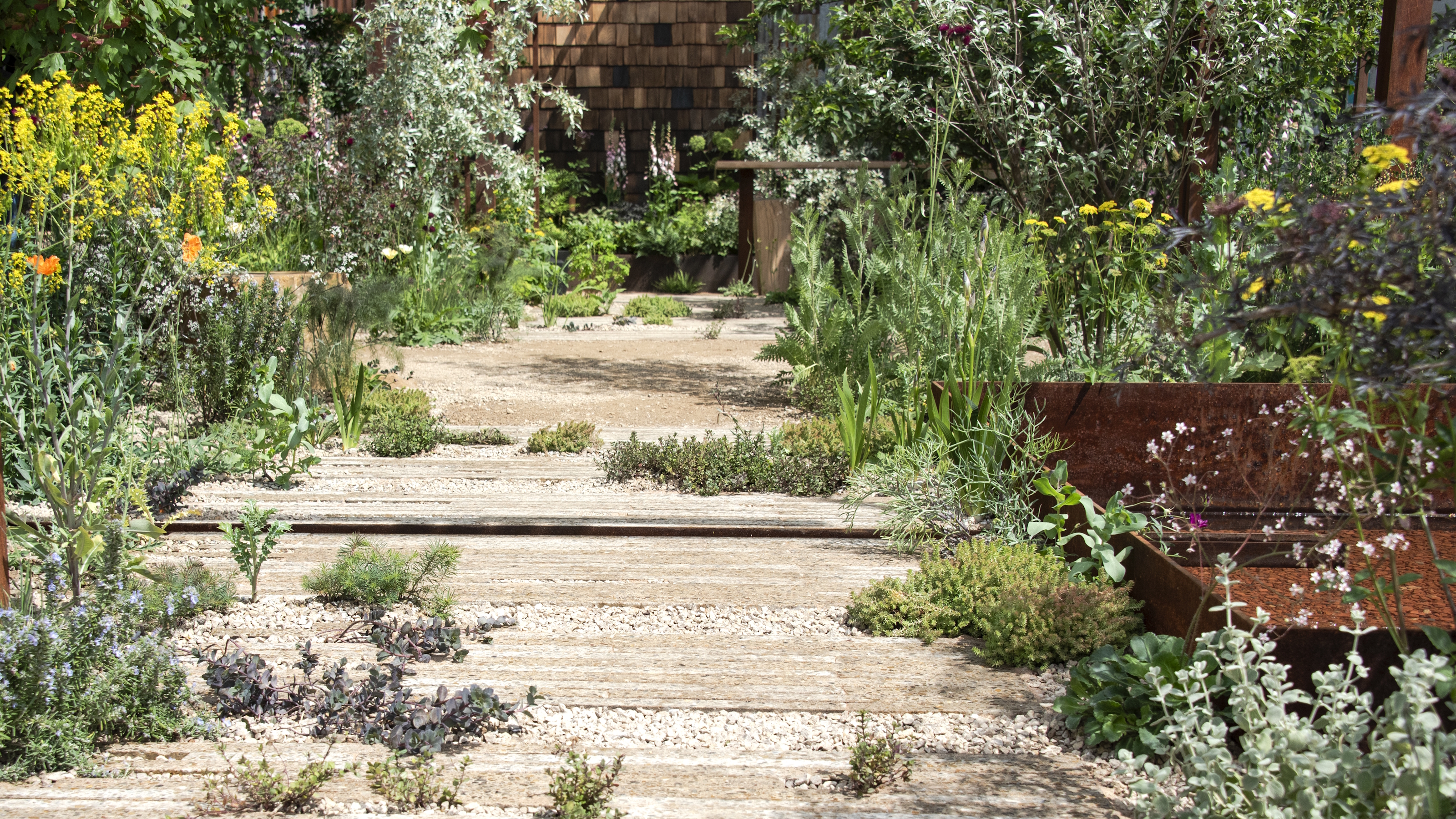 A sunny gravel garden with stone pavers at the Chelsea Flower Show