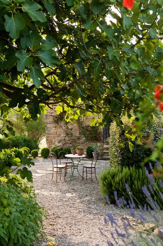 gravel patio with hedges and table and chairs
