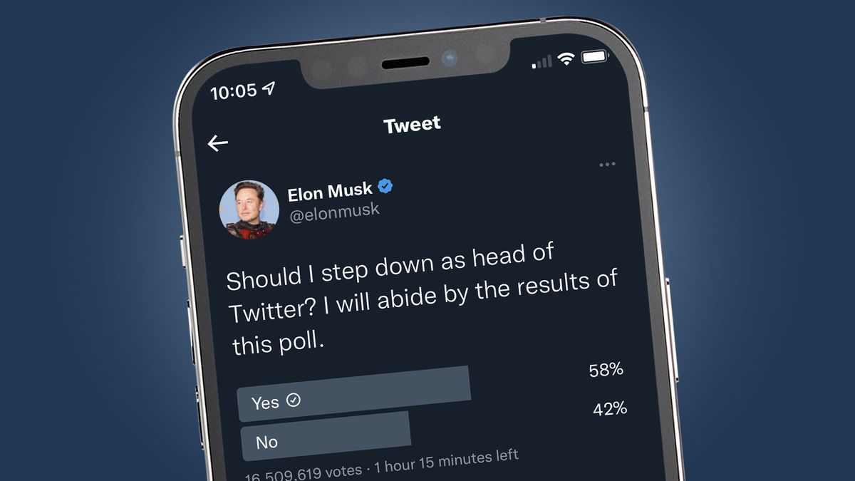 Twitter users have decided if Elon Musk should step down in a bizarre poll