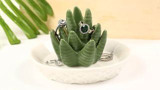 Cacti ring dish