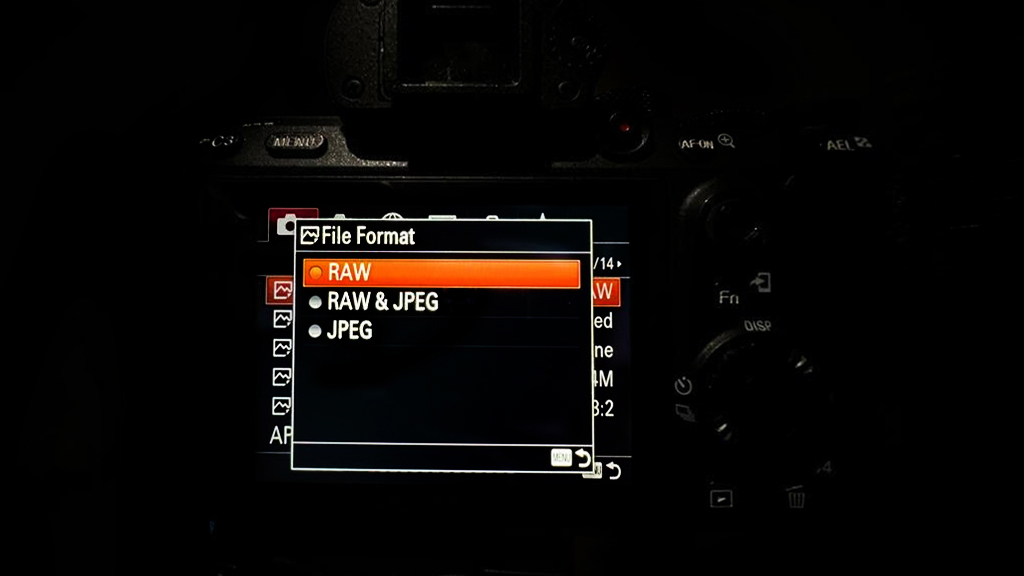 Camera menu screen displaying file format options: RAW, RAW & JPEG, and JPEG, with RAW highlighted