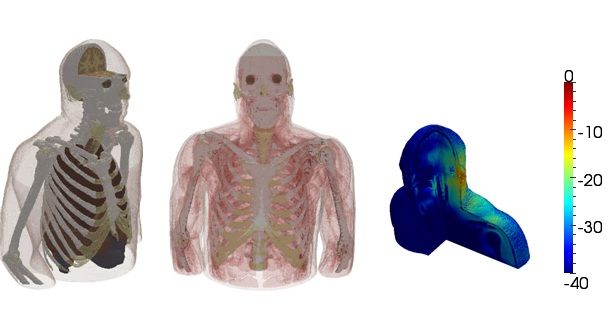 three bodily recreations. First on the left shows internal organs, the second showing muscles and the third showing changes in heat. 