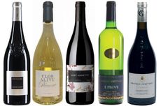 Corsica wines
