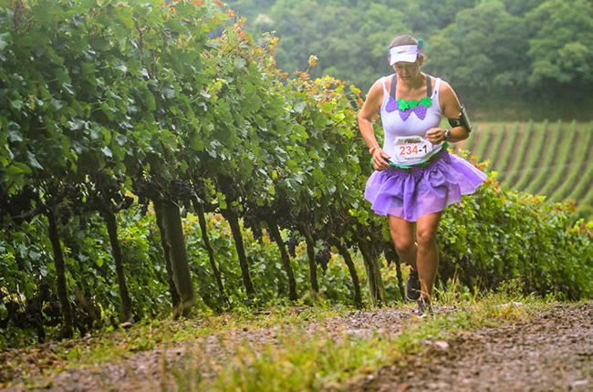 south america wine festivals