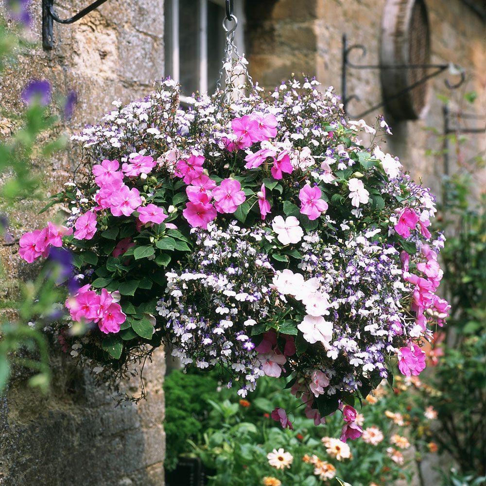 How to plant a hanging basket | Ideal Home