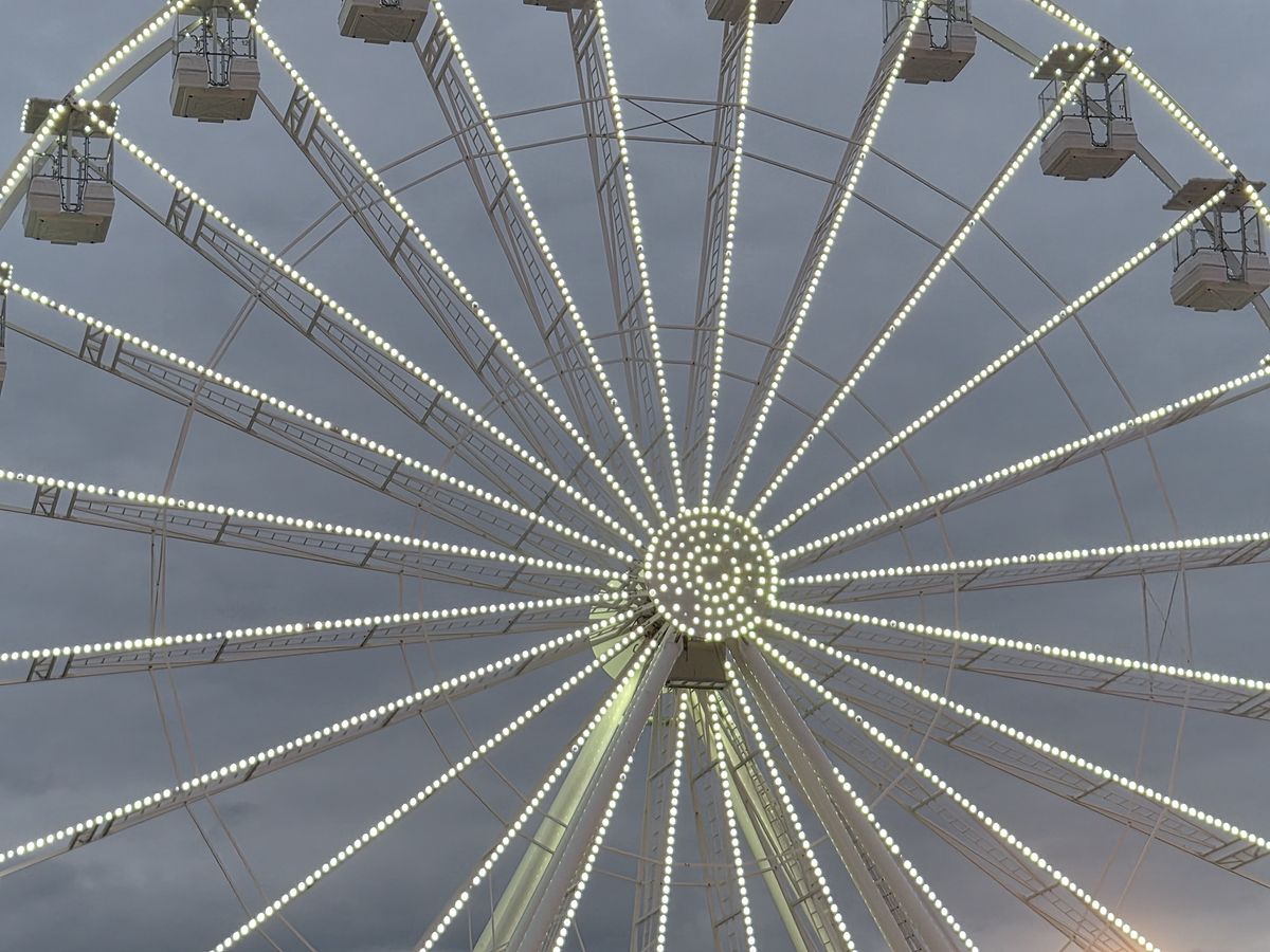 4x zoom camera sample captured on the Galaxy Z Flip 7 FE