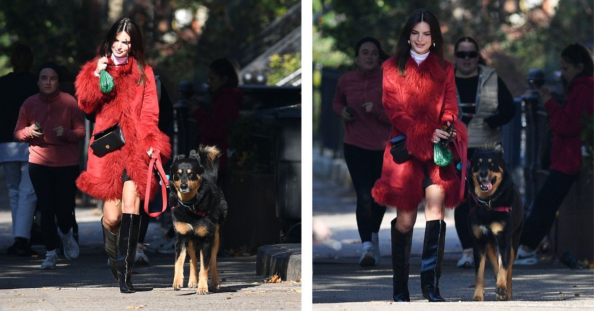 J'ai promis à mon petit ami de ne plus acheter de manteaux d'hiver, mais je ne peux pas résister à l'envie d'acheter le style tendance d'Emily Ratajkowski.