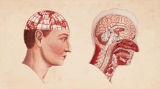 Photo collage of a vintage medical illustration of the brain; in one of the diagrams, the brain has been replaced by an image of the Earth.